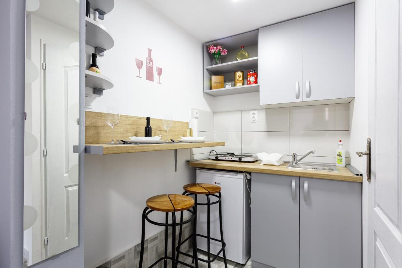 Sb Centar Apartmani นิส ภายนอก รูปภาพ
